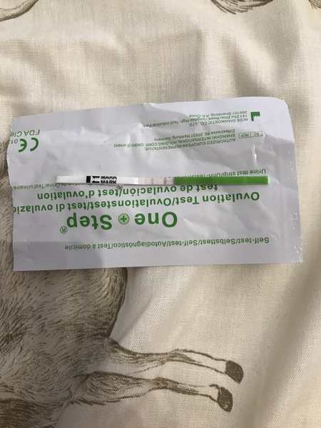 Ovulation test!