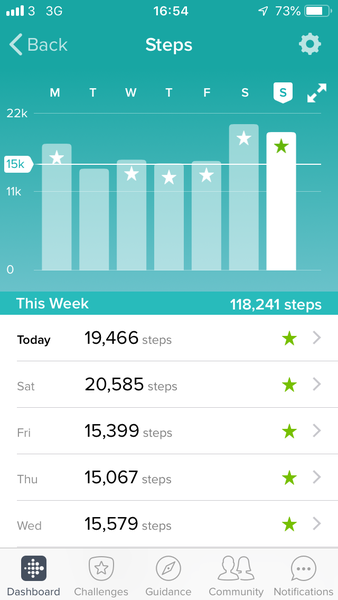 Fitbit steps - how many?