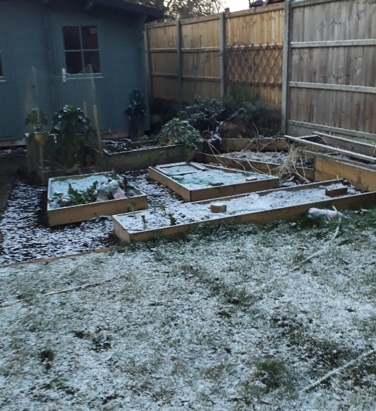 Allotment?Veg Patch Thread 13! Are we weathering the weather?