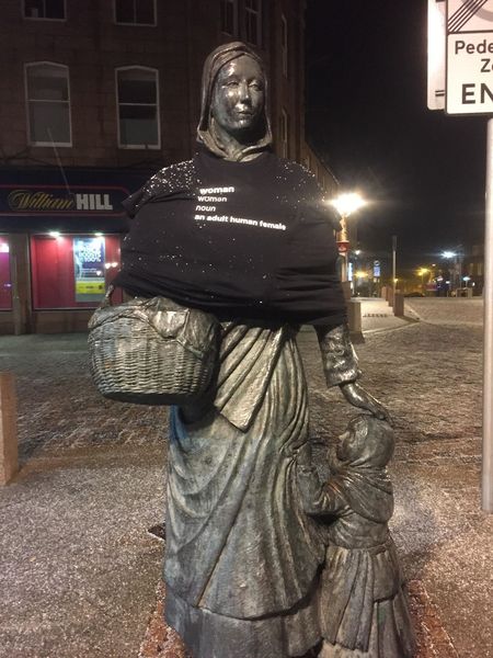 ReSisters standing up for adult human females **Thread title edited by MNHQ**