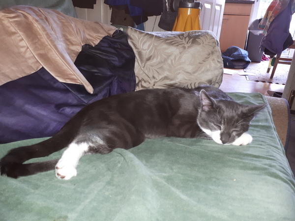 What's your DCat up to today? (Thread 7!)