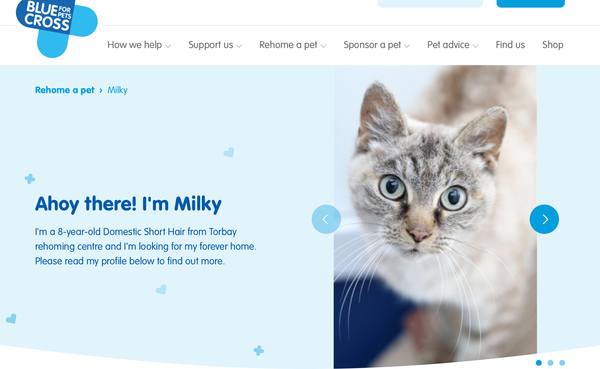 One or two kittens in our circs?