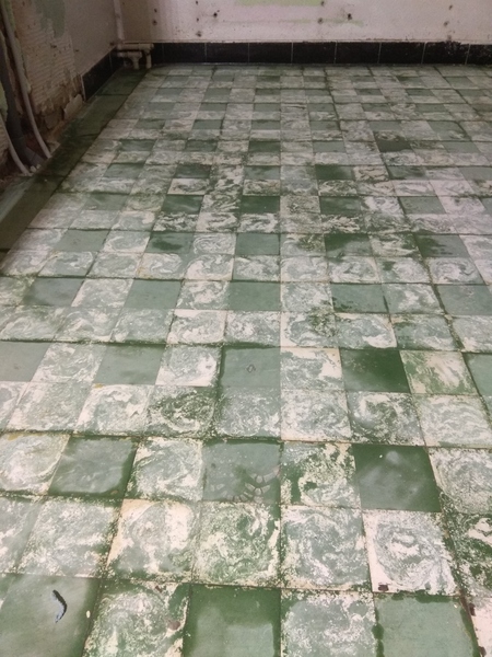 1950s tile restoration update!!