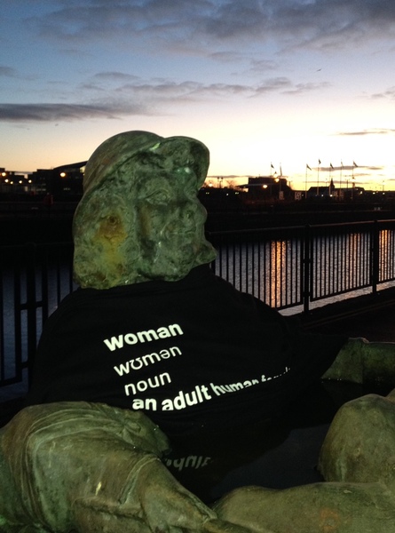 ReSisters standing up for adult human females **Thread title edited by MNHQ**