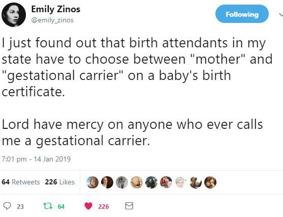 Gestational Carriersnet - doesn't quite have the same ring to it