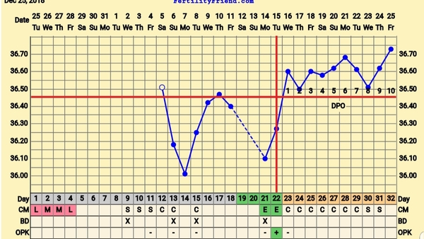 BBT CHART OPINIONS