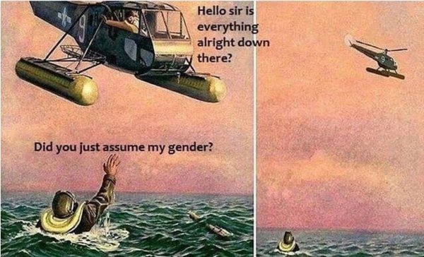 Share your favourite Gender Critical memes here!