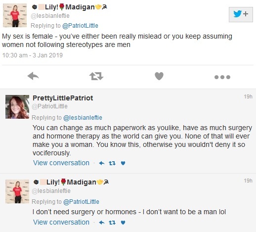 Lily Madigan and the School Saga