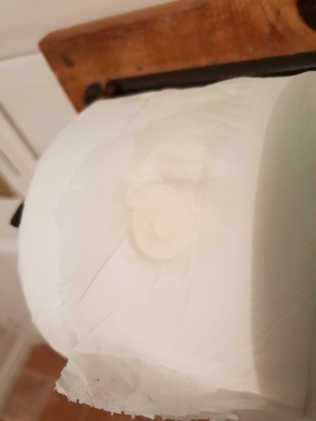 I just looked at Mrs Hinch's toilet roll stamp