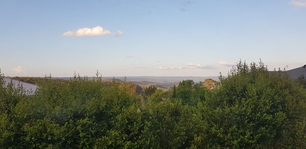 Any Witches Here? Part 6