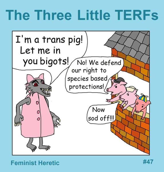 Share your favourite Gender Critical memes here!