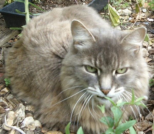 Westminstenders: What The Hell Happens Next?!