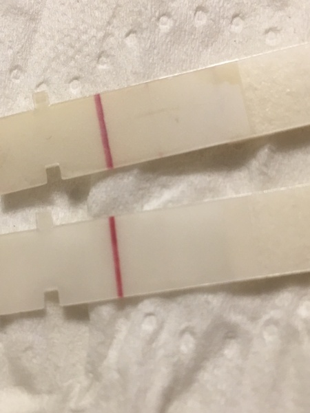 9dpo faint line on First Response Rapid Results