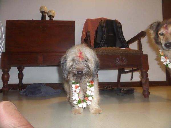 Westminsterenders: Don't Panic. Really Don't Panic. Honestly Don't Panic.