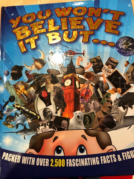 12yr old grandson, not an avid reader, suggestions for books?