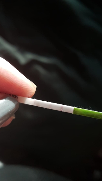 Ovulation help!