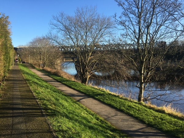 New Year, New Start. Probably dries and lows as we Tryers to be Dryers try 2019.