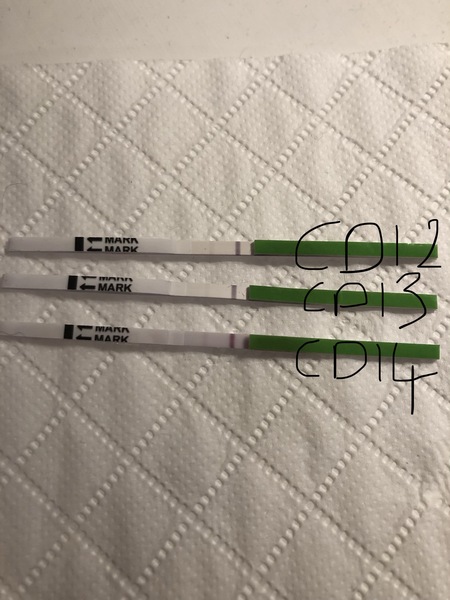 TTC #1 thread 1 2019