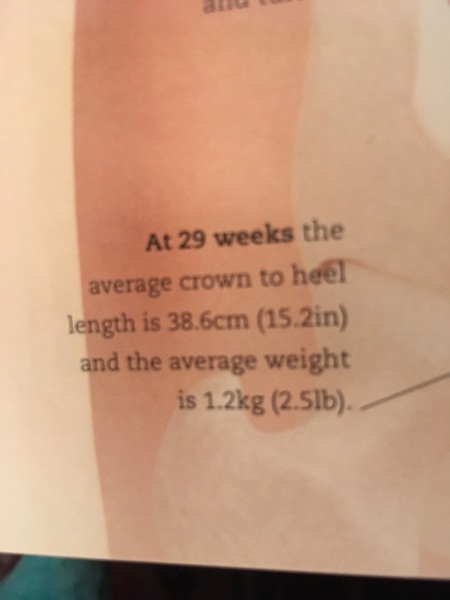 The March-ers 2019 - #7