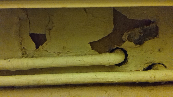 Partner no bio children of his own-anybody the same?