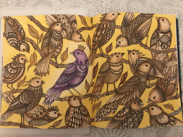 Colouring- anyone want to share their efforts?