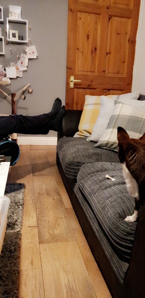 To want him to watch TV with me?