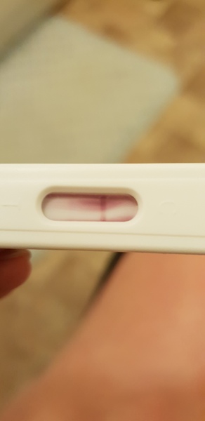 Late period Negative test