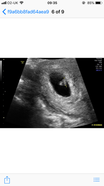 September 2019 babies?