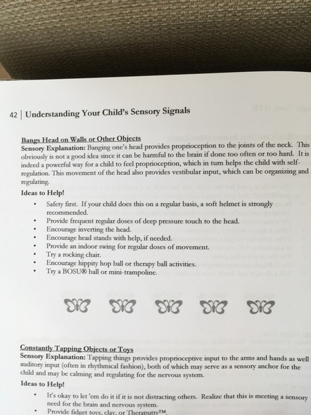 Reception auties 2018/19 - thread 2