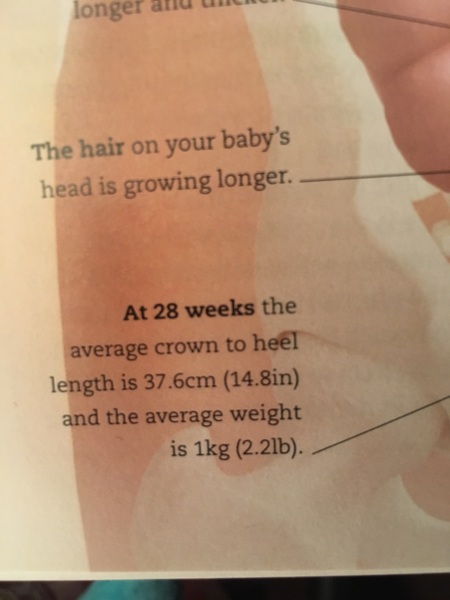 The March-ers 2019 - #7