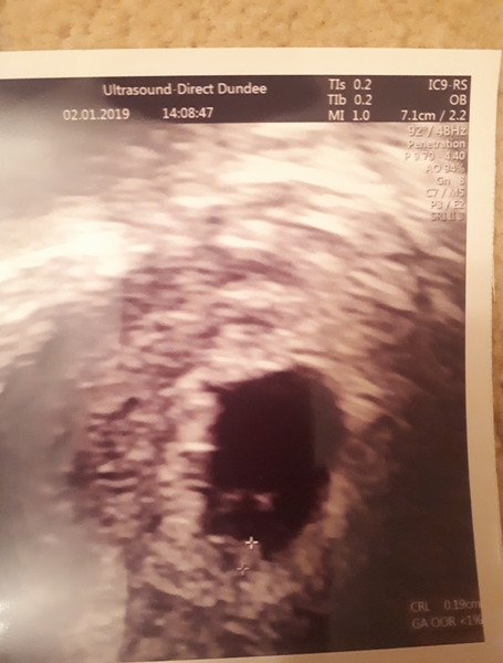 Due September 2019