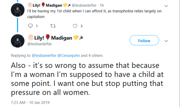 Lily Madigan and the School Saga