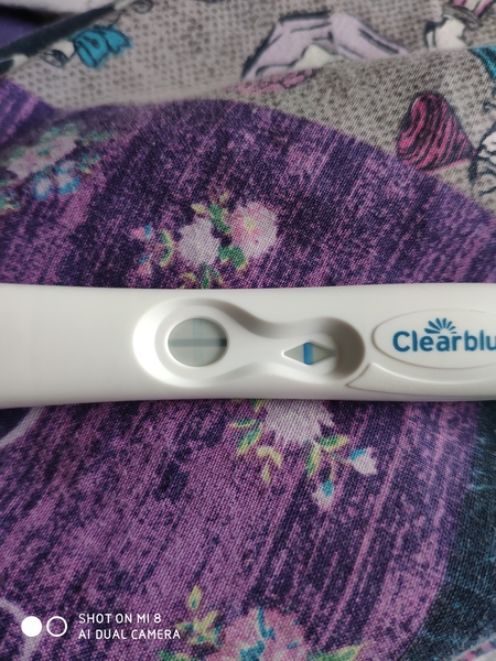 Due October 2019