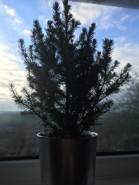 Any Witches Here Part 5.