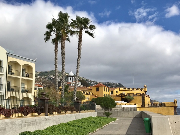 Which island? Madeira, Malta or one of the Canaries