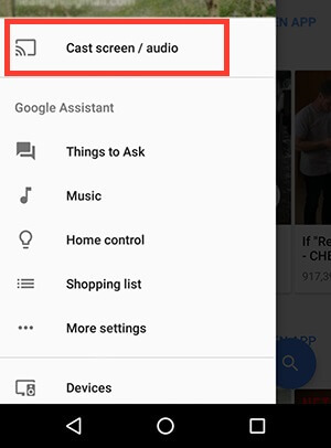 Spotify family, and Echo Dots, please advise a confused technophobe!