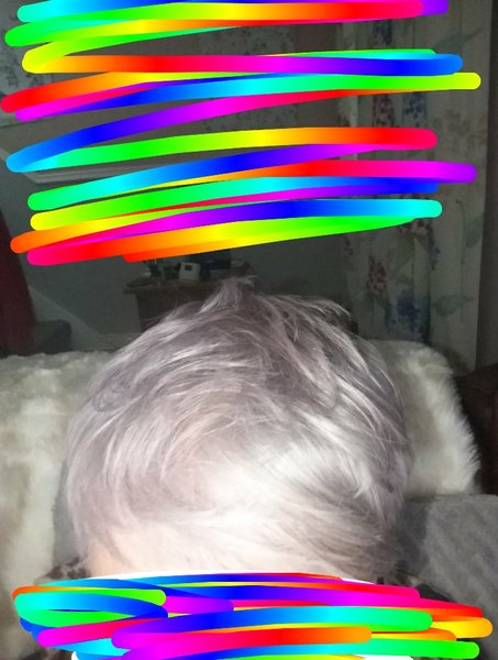 Is anyone going grey this year?