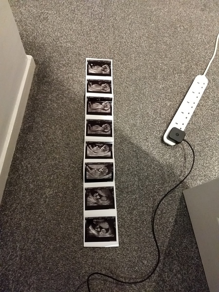 Ringing in the New Year & 2nd trimester - July 2019!