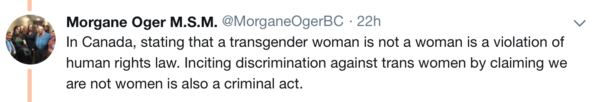 Politician Morgane Oger leans on Vancouver police to look into alleged crimes by Meghan Murphy et al