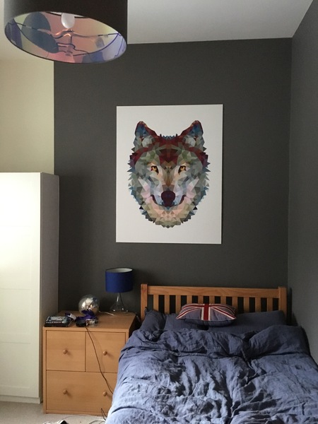 Can you recommend a nice blue or grey for 10 year old boys room?