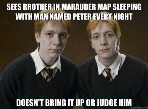Harry Potter and the goblet of fire! Dumbledore comment, any fans that could help?