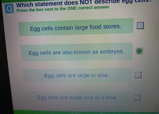 Y7 Biology homework question about egg cells