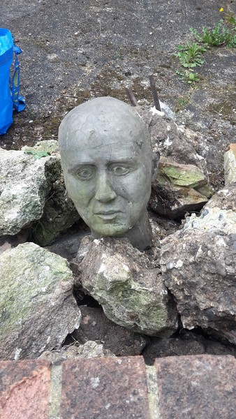 Weirdest Thing Found In Your Garden
