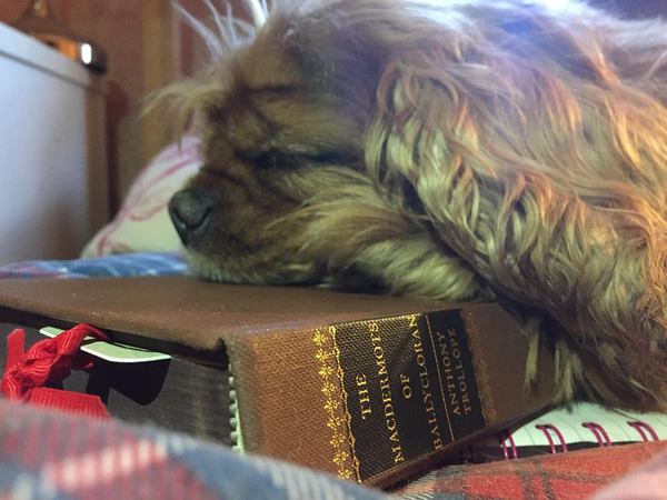 50 Book Challenge 2019 Part Two