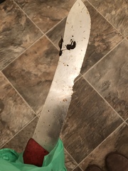 Someone has chucked an eight inch knife over my garden wall
