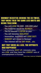 Facebook posts - are leavers gearing up for an election / referendum