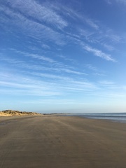 Any Witches Here Part 5.