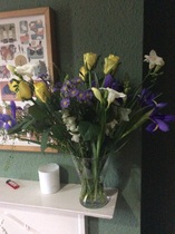 Free Freddie flowers