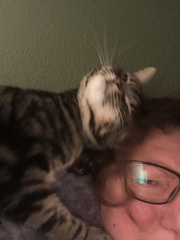 Why does she insist in styling my hair?