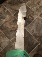 Someone has chucked an eight inch knife over my garden wall